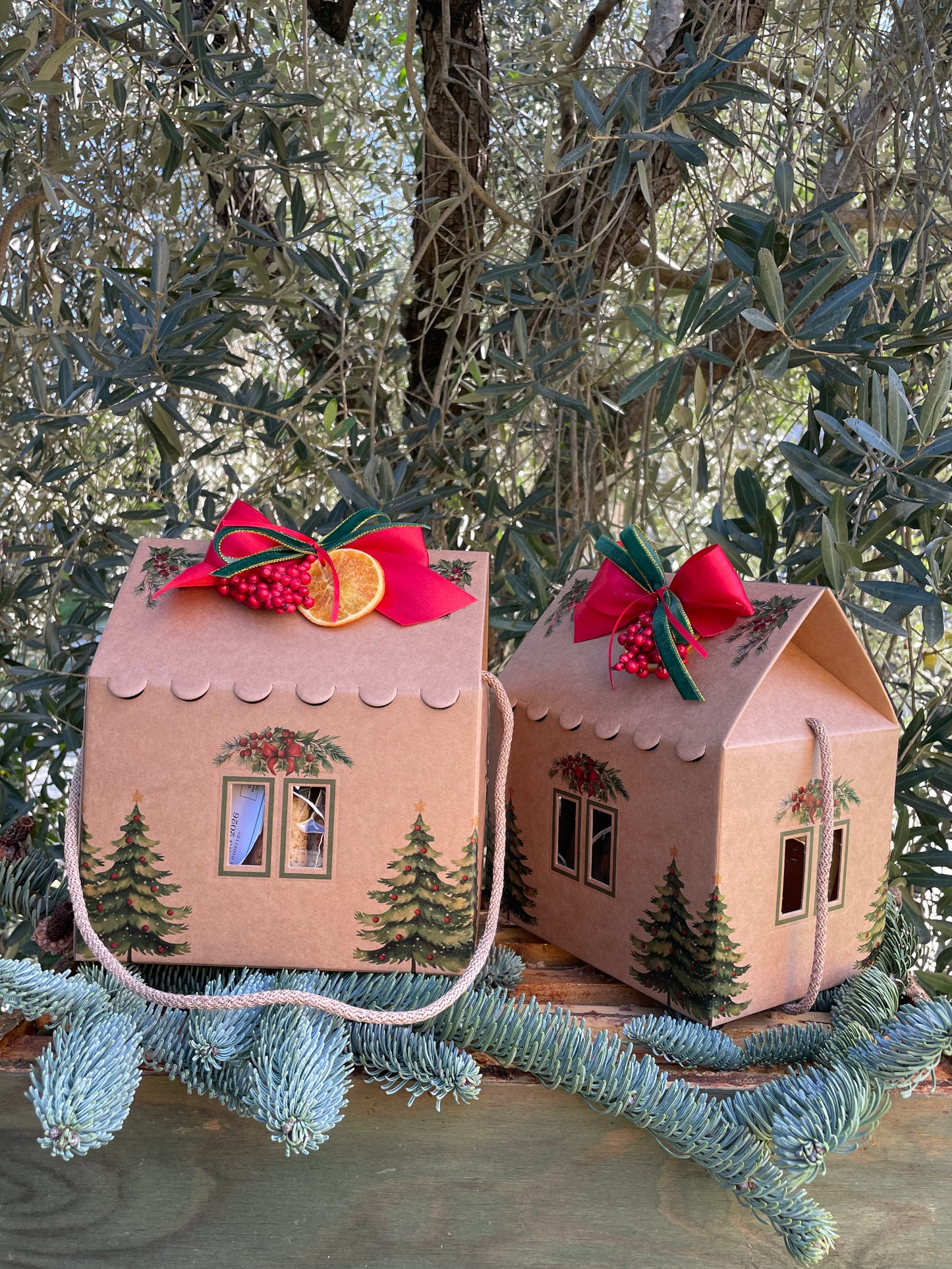 La Casetta di Natale 🏠🎄